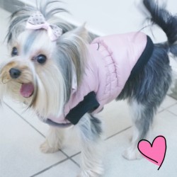 Šilta žieminė, rožinės spalvos striukė, šuniukui
